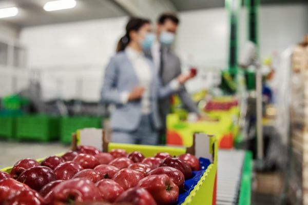Projeto de lei autoriza consórcios públicos a prestarem serviço de classificação de produtos vegetais